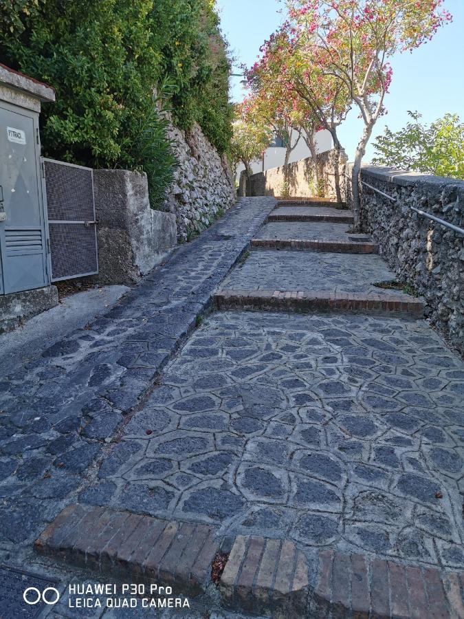 拉维罗A Casa Di Samu住宿加早餐旅馆 外观 照片
